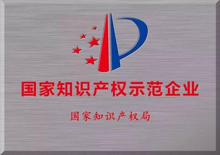 国家知识产权示范企业