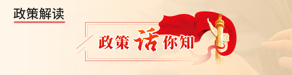 政策解读