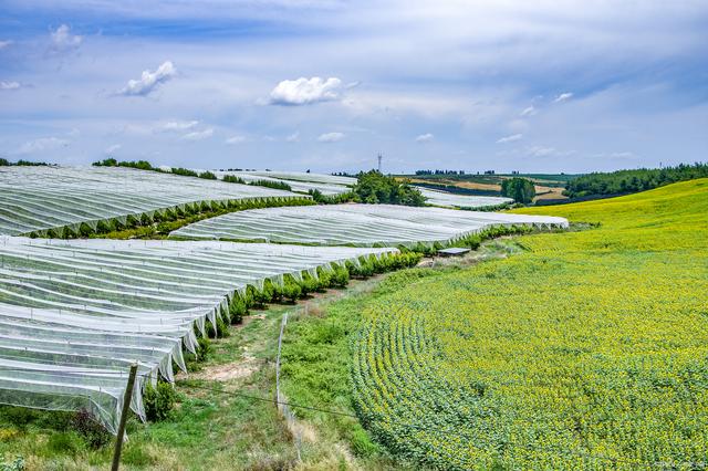 佛山市市场监督管理局关于开展第